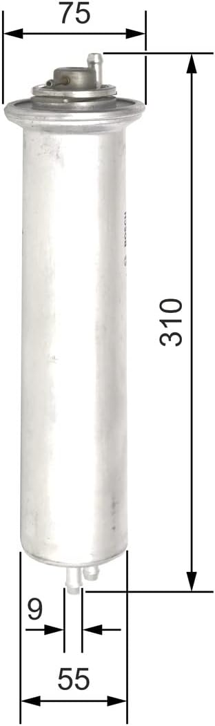 Bosch F5960 - Benzinfilter Auto