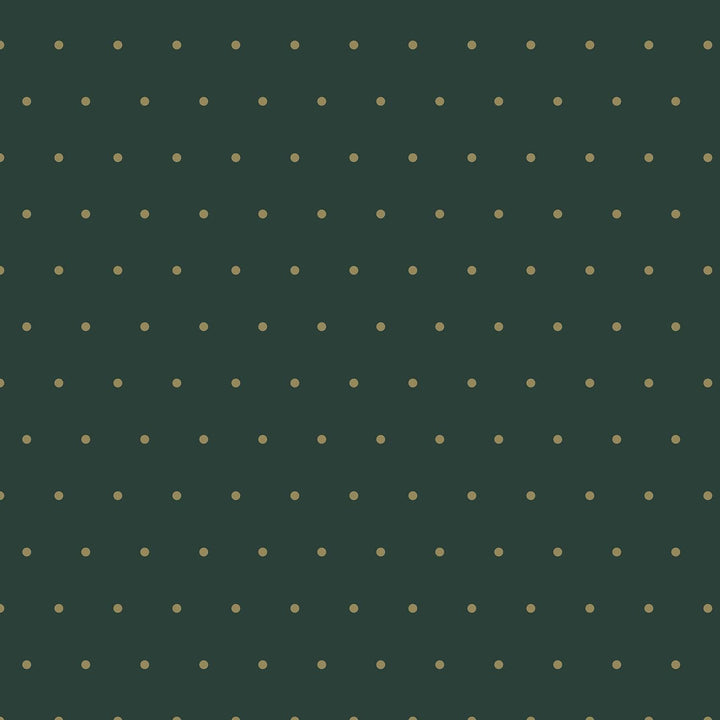 Clairefontaine 202053AMZC Geschenkpapier, 10 Rollen Excellia-Papier, 80 g, Masse: 5 x 0,70 m, Motiv: