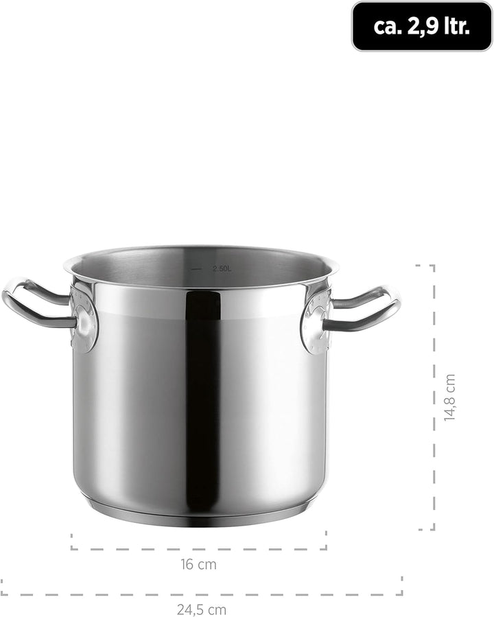 Mäser, Serie Professional, Gemüsetopf 16 cm mit Deckel, Topf aus hochwertigem Edelstahl 18/10, Induk