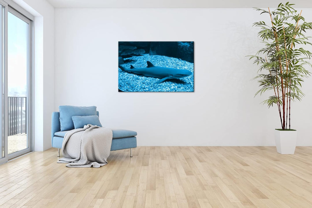 deyoli Weissspitzen Hai Format 80x60 Effekt: Monocrome Blau als Leinwandbild, Motiv fertig gerahmt a