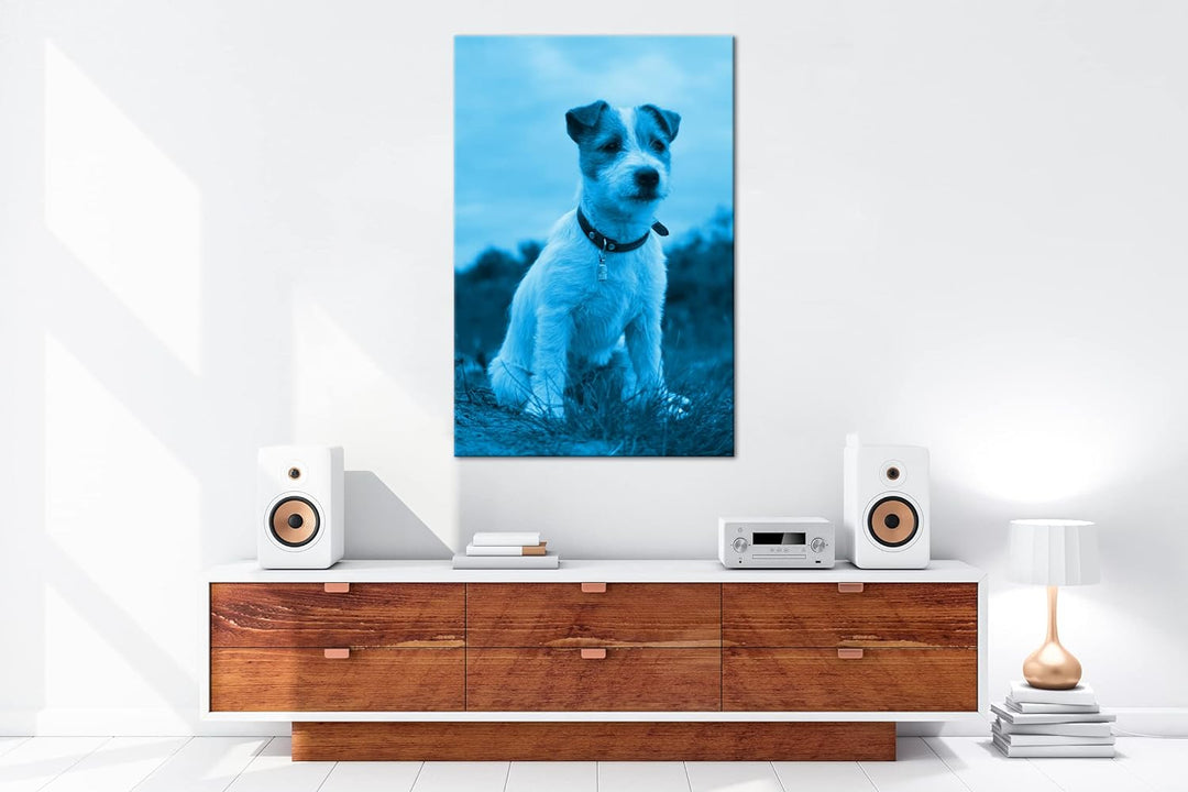deyoli süsser Jack Russell Terrier Format 80x60 Effekt: Monocrome Blau als Leinwandbild, Motiv ferti