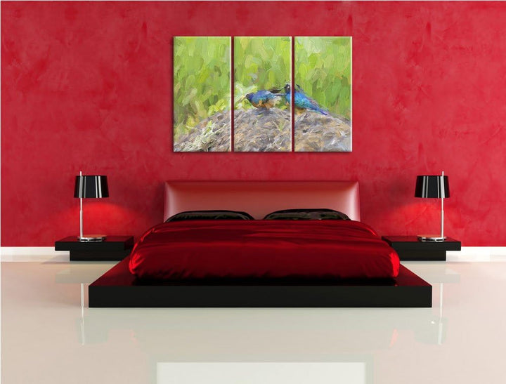 farbenfrohe Dreifarben-Glanzstare auf einem Stein NewArt 3-Teiler Leinwandbild 120x80 Bild auf Leinw