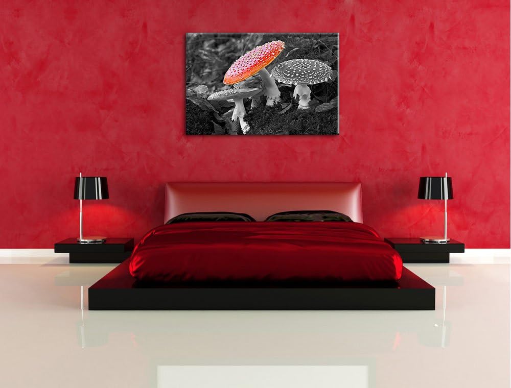prächtige Fliegenpilze auf Waldboden schwarz/weiss auf Leinwand, XXL riesige Bilder fertig gerahmt m