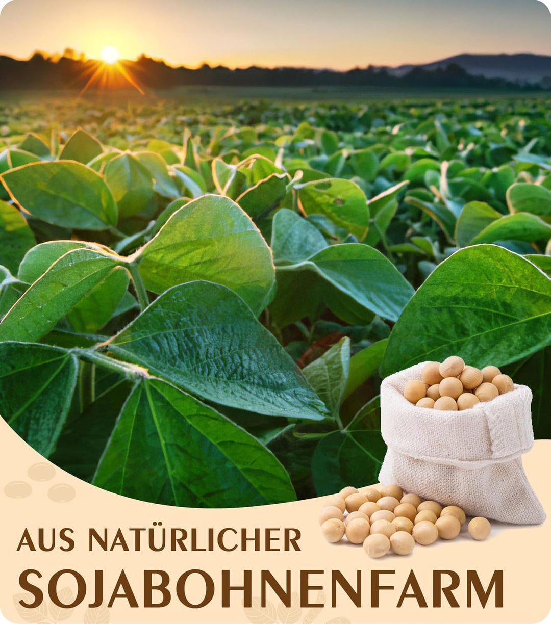 Sojawachs für Kerzen 3kg, BOYUJK Premium Natürlich Kerzenwachs, 100% Sojawachs für die Kerzenherstel