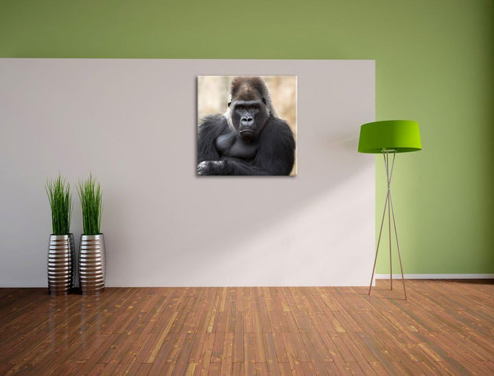 gelangweilter Gorilla, Format: 70x70 auf Leinwand, XXL riesige Bilder fertig gerahmt mit Keilrahmen,