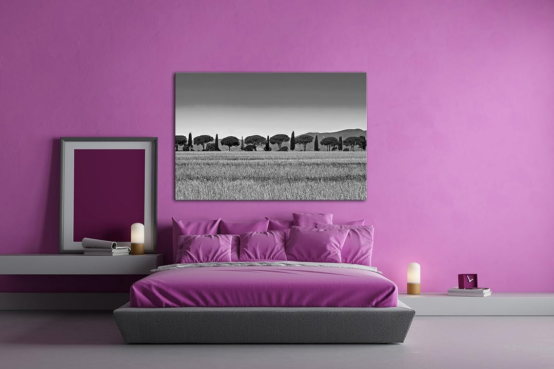 deyoli Toskana Landschaft mit Zypressen und Pinien Effekt: Schwarz/Weiss im Format: 60x40 als Leinwa