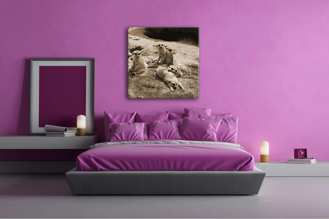 deyoli niedliche Erdmännchen Familie im Format: 60x60 Effekt: Sepia als Leinwandbild, Motiv auf Echt