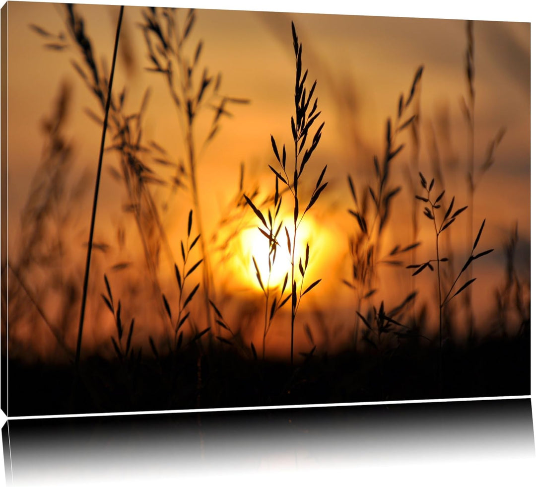 Gras bei Sonnenuntergang Format: 100x70 auf Leinwand, XXL riesige Bilder fertig gerahmt mit Keilrahm