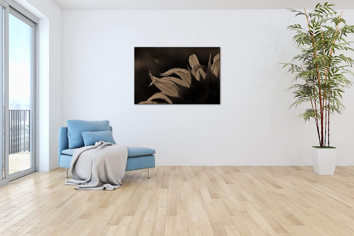 deyoli regnerische Sonnenblume Format: 80x60 als Leinwand, Effekt: Sepia, Motiv fertig gerahmt auf E