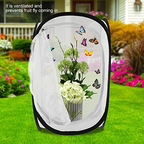 Insekten-Lebensraumkäfig Grosser Tragbarer Faltbarer, Haltbarer Mottenschmetterling Belüftete Tierzu