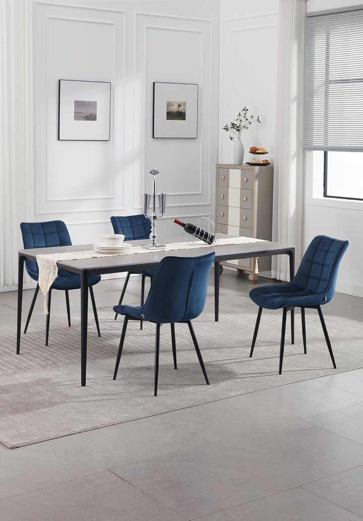 WOLTU 4 x Esszimmerstühle 4er Set Esszimmerstuhl Küchenstuhl Polsterstuhl Design Stuhl mit Rückenleh