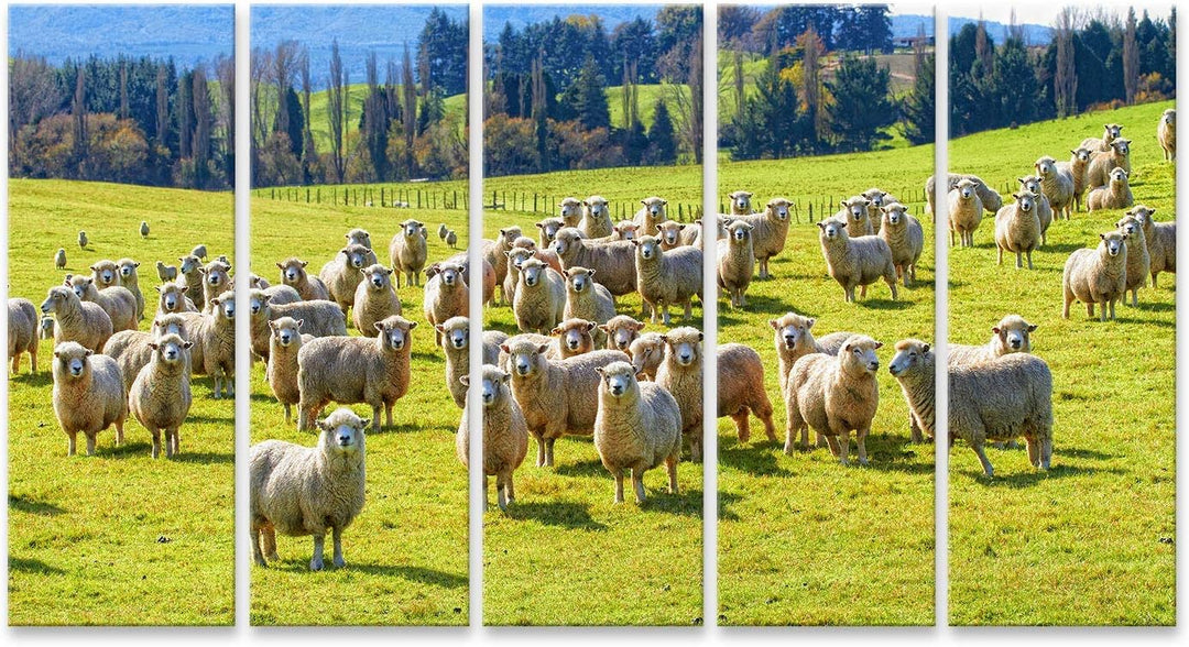 islandburner Bild auf Leinwand Ein Foto Von Einer Herde Von Schafen In Neuseeland Wandbild Poster Ku