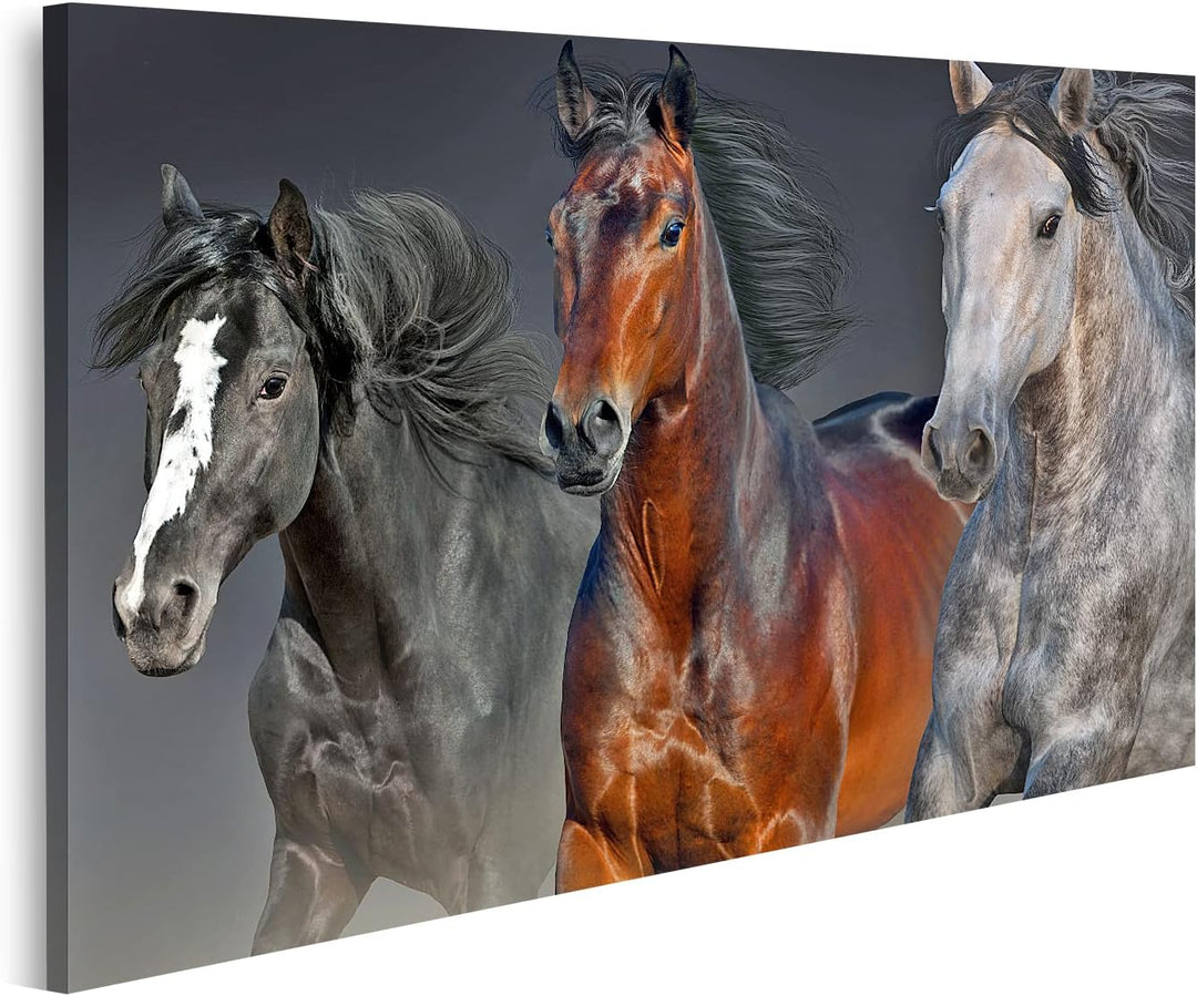 islandburner Bild auf Leinwand Drei Pferde Porträt Für Kinderzimmer Pop Bilder Wandbilder Poster Lei