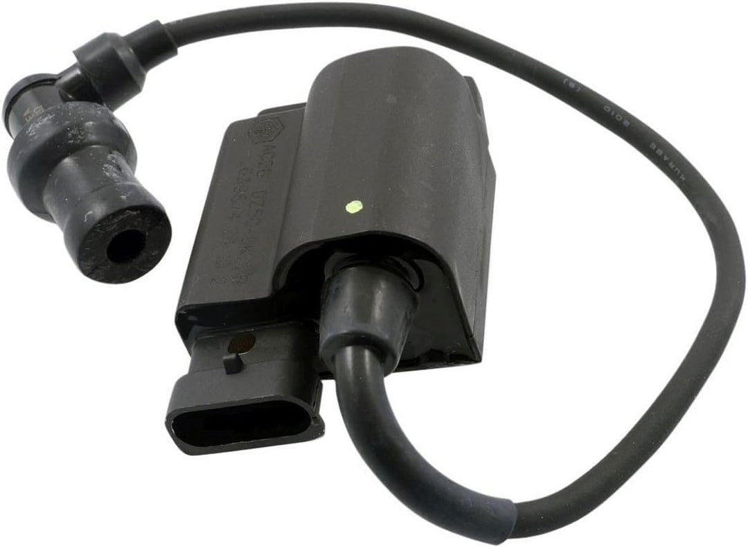 CDI Zündspule 25 km/h für Zip 50 4T DT 06- LBMC25C