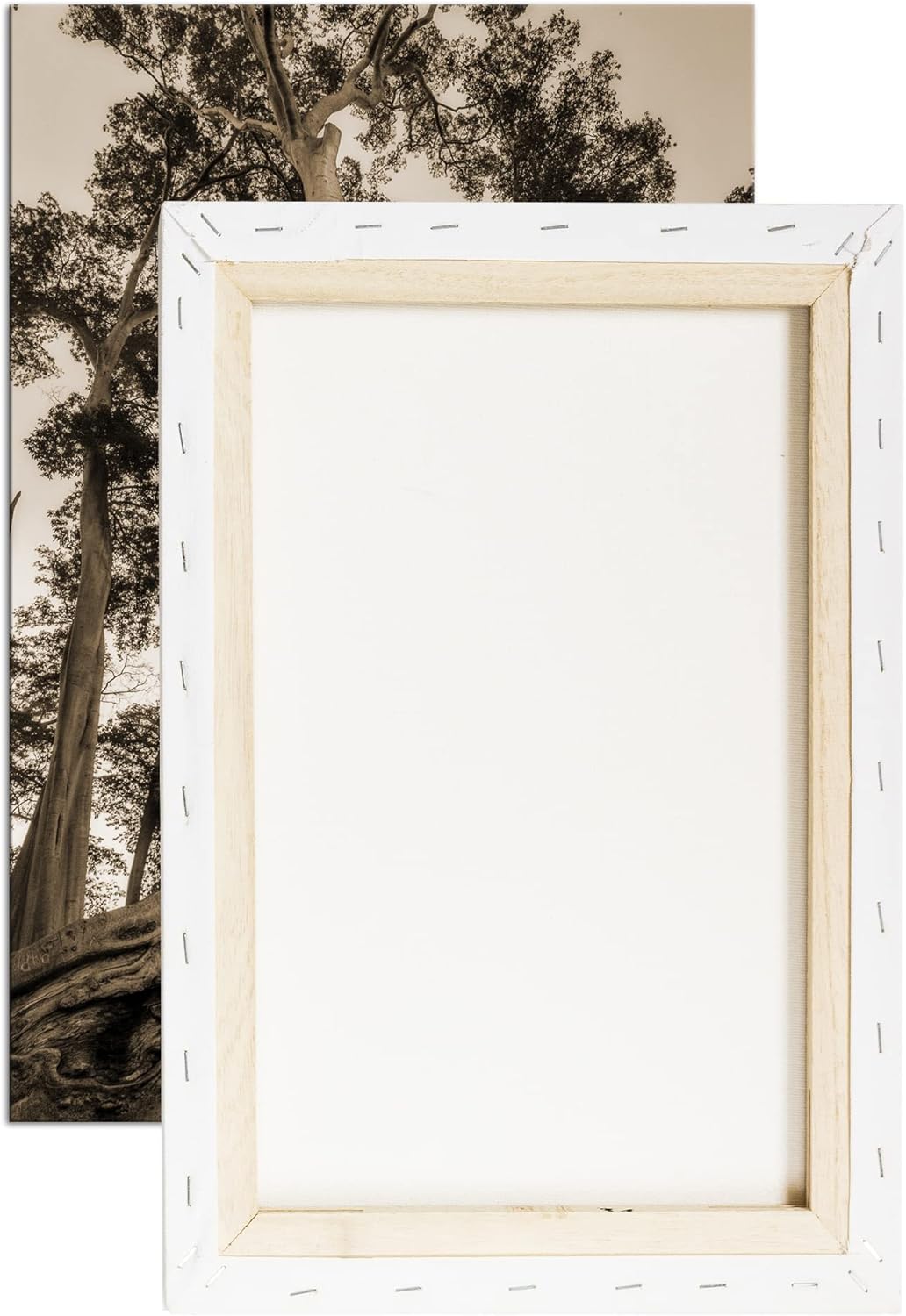 deyoli märchenhafter Baum Format: 100x70 cm Effekt: Sepia als Leinwandbild, Motiv fertig gerahmt auf