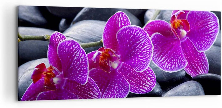 Wandbilder Dekoration Wohnzimmer Blumen Steine Violett Aromatherapie Bilder auf Leinwand 120x50cm Le