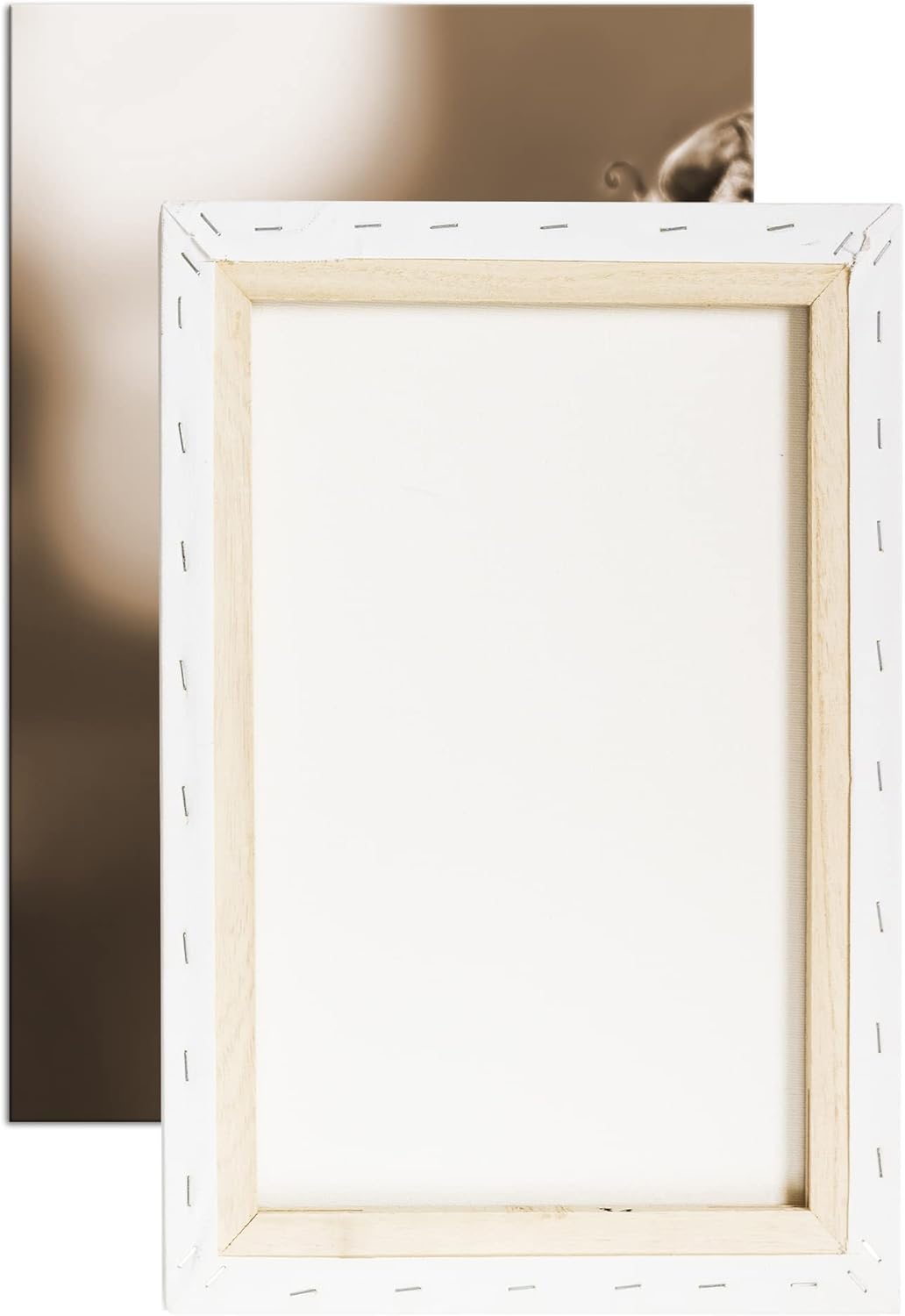 deyoli Südliche Magnolie Stierbucht Format: 80x60 Effekt: Sepia als Leinwandbild, Motiv fertig gerah