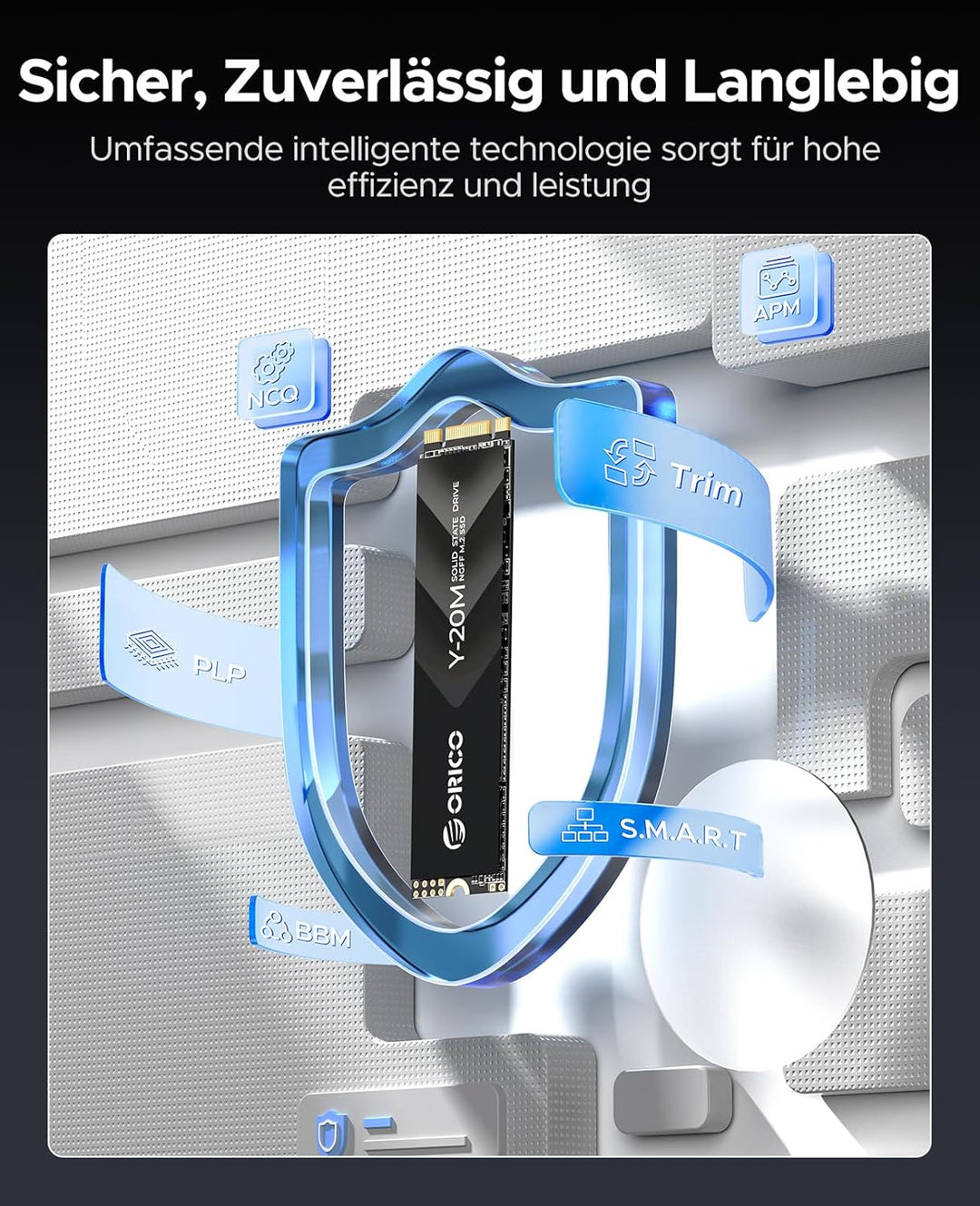 ORICO 256GB M.2 2280 SATA SSD, SATA III 6Gbps M2 SSD mit B+M Schlüssel, 500MB/s Internes Solid State