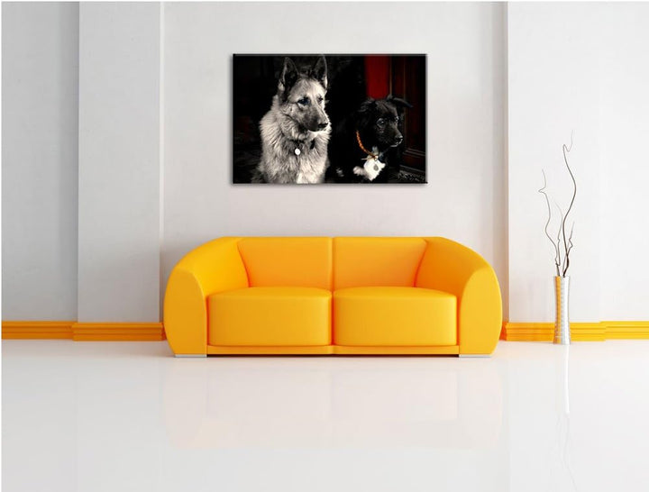 Pixxprint Zwei Hunde auf dem Teppich auf Leinwand, XXL riesige Bilder fertig gerahmt mit Keilrahmen,
