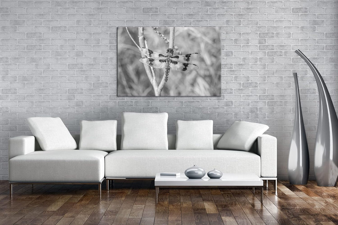deyoli zauberhafte Drachen Libelle Format: 80x60 Effekt: Schwarz&Weiss als Leinwandbild, Motiv ferti