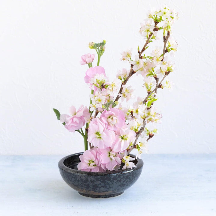 Wazakura Minoyaki Serie Kleine Runde Glasierte Ikebana Blumenvase, Made in Japan, Handbemalte Kerami