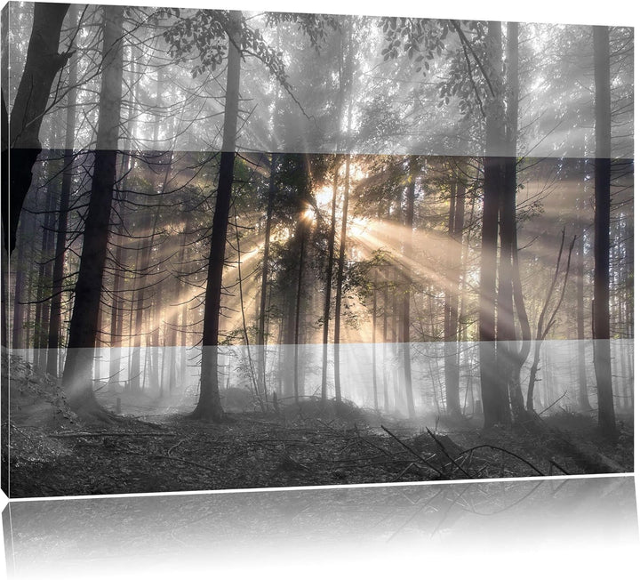 Herbstwald im Nebel schwarz/weiss Format: 100x70 auf Leinwand, XXL riesige Bilder fertig gerahmt mit