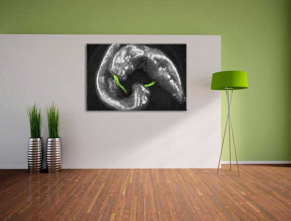appetitliche scharfe Chilischoten schwarz/weiss Deluxe Format: 100x70 cm auf Leinwand, XXL riesige B