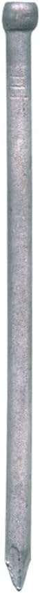 siwitec Wagnerstifte verzinkt 3,1 x 70 mm, 5 kg, Leistenstifte, Drahtstifte mit Stauchkopf, Nägel 3,
