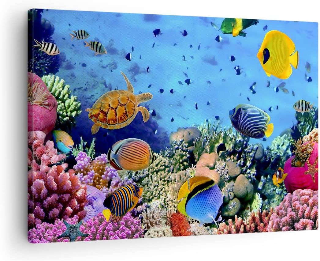 ARTTOR Bilder auf Leinwand Korallenriff Leinwandbild mit Rahmen 70x50cm Wandbilder Dekoration Wohnzi