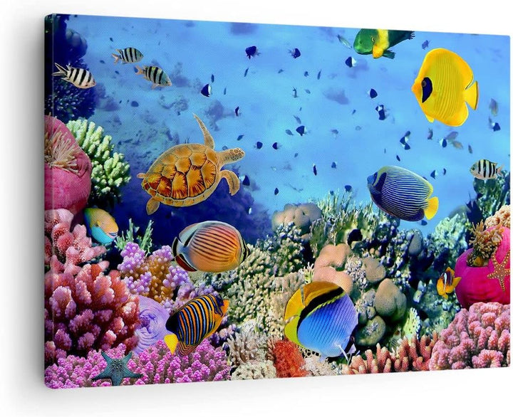 ARTTOR Bilder auf Leinwand Korallenriff Leinwandbild mit Rahmen 70x50cm Wandbilder Dekoration Wohnzi