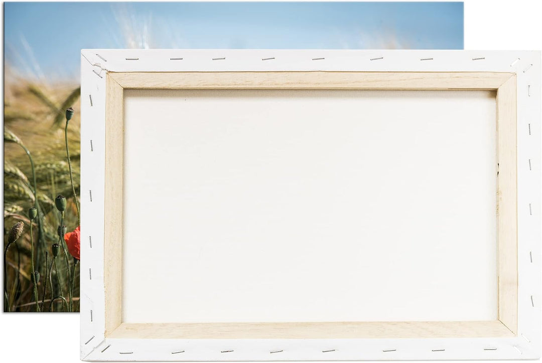 deyoli zarte Mohnblumen im Getreidefeld Format: 60x40 als Leinwand, Motiv fertig gerahmt auf Echthol