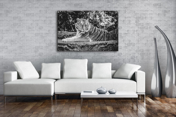deyoli Majestätischer Tiger Format: 80x60 Effekt: Schwarz/Weiss als Leinwandbild, Motiv fertig gerah