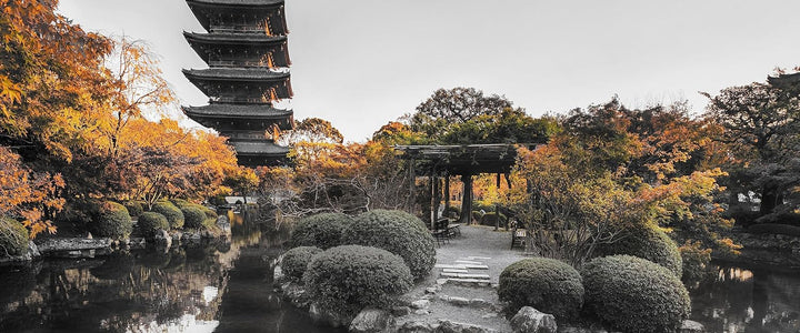 Glasbild Panorama | Wandbild aus Echtglas | See im Herbst vor japanischem Tempel B&W Detail | 100x40