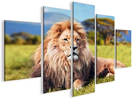 islandburner Bild Bilder auf Leinwand Löwe V2 König der Tiere Löwen MF XXL Poster Leinwandbild Wandb