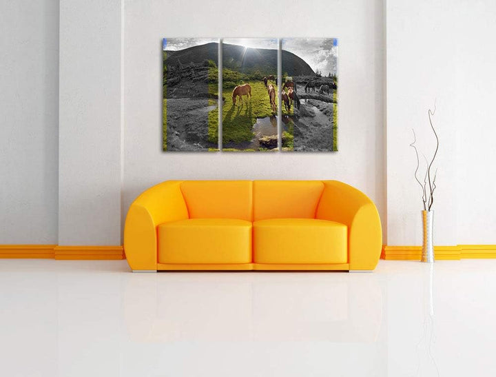 fressende Pferdeherde im Gebirge schwarz/weiss 3-Teiler Leinwandbild 120x80 Bild auf Leinwand, XXL r