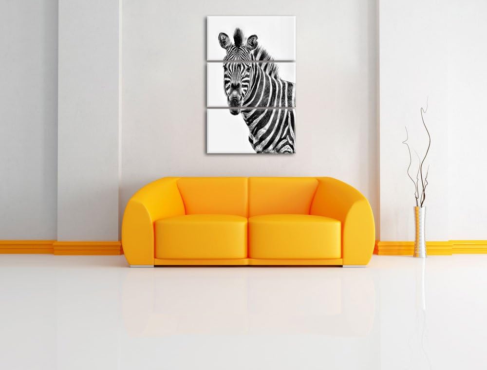 Pixxprint Zebra im Portrait als Leinwandbild/Grösse: 3 Teilig (120x80) cm/Wandbild/Kunstdruck/fertig