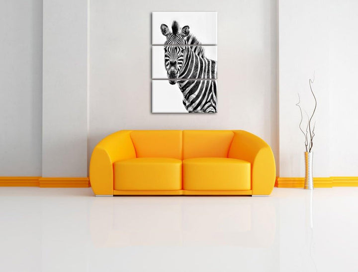 Pixxprint Zebra im Portrait als Leinwandbild/Grösse: 3 Teilig (120x80) cm/Wandbild/Kunstdruck/fertig