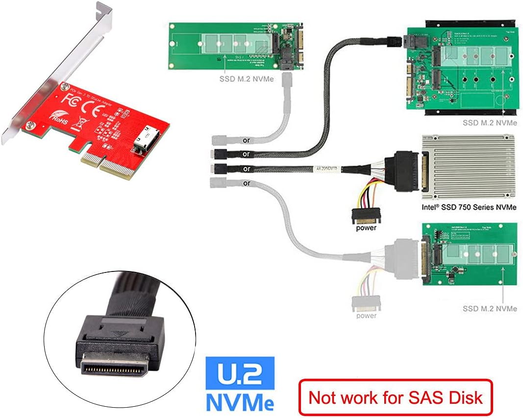Cablecc PCI-E 3.0 Express 4.0 x4 zu Oculink Interner SFF-8612 SFF-8611 Host-Adapter für PCIe SSD mit