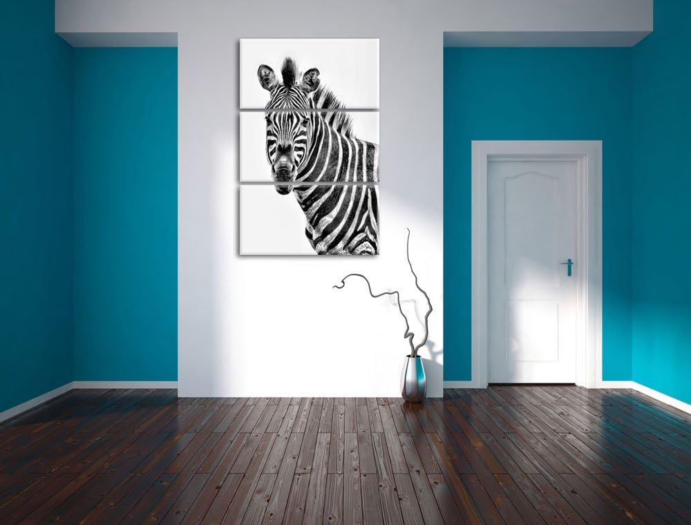 Pixxprint Zebra im Portrait als Leinwandbild/Grösse: 3 Teilig (120x80) cm/Wandbild/Kunstdruck/fertig