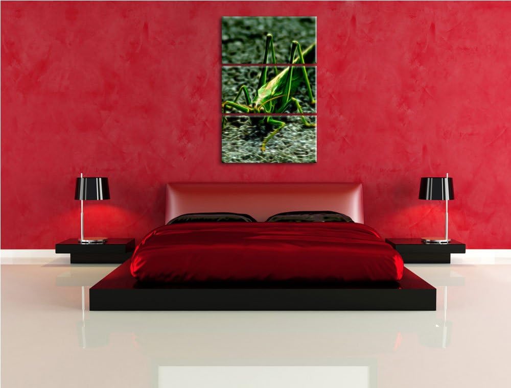 freche kleine Heuschrecke NewArt 3-Teiler Leinwandbild 120x80 Bild auf Leinwand, XXL riesige Bilder