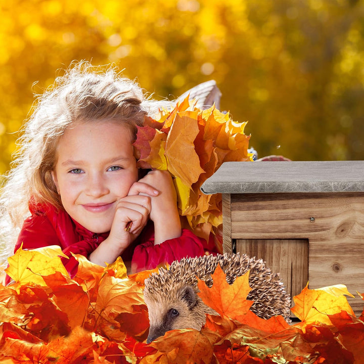 Relaxdays Igelhaus winterfest, Bausatz, Igelhütte katzensicher, Rattenklappe Labyrintheingang, HBT 2