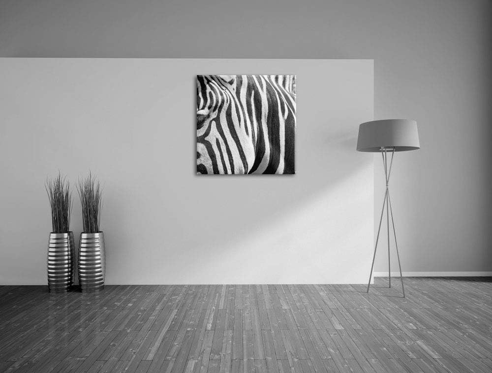 Pixxprint Zebra Porträt, Format: 70x70 auf Leinwand, XXL riesige Bilder fertig gerahmt mit Keilrahme