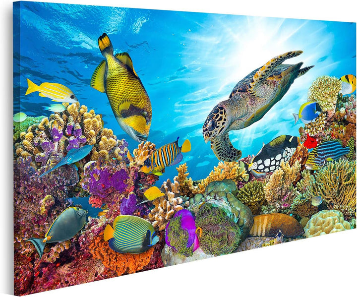 islandburner Bild auf Leinwand Buntes Korallenriff Viele Fische Meeresschildkröte Bilder Wandbilder