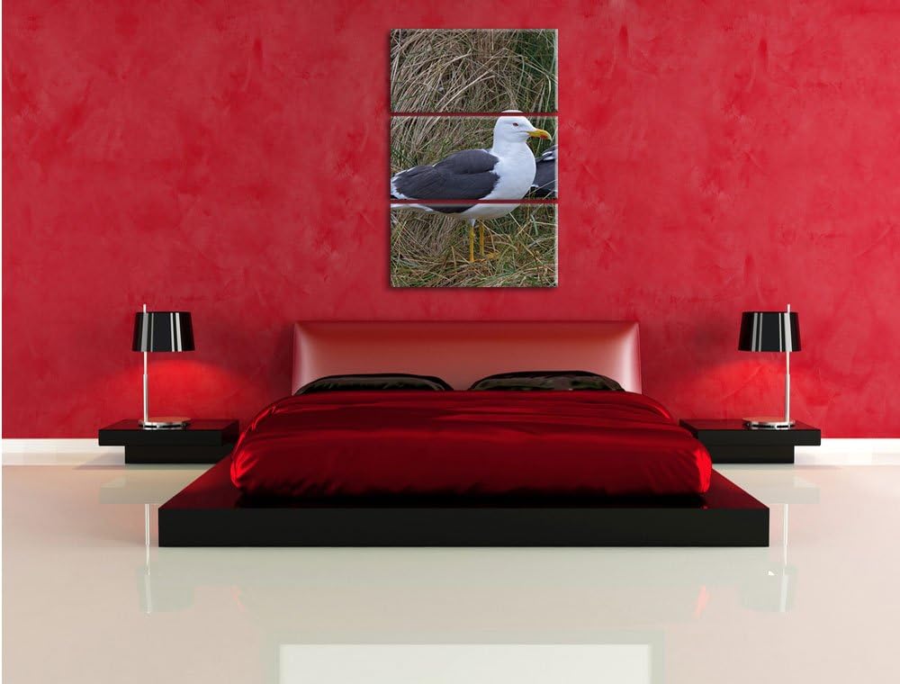 Pixxprint Zwei Möwen im hohen Gras als Leinwandbild/Grösse: 3 Teilig (120x80) cm/Wandbild/Kunstdruck