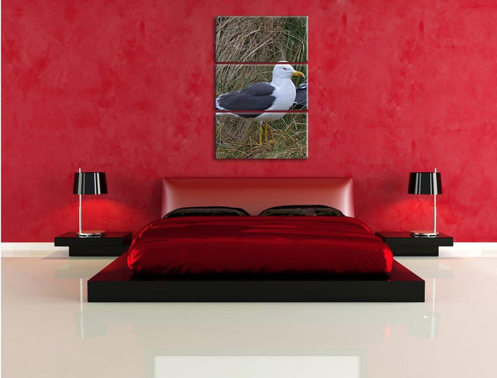 Pixxprint Zwei Möwen im hohen Gras als Leinwandbild/Grösse: 3 Teilig (120x80) cm/Wandbild/Kunstdruck