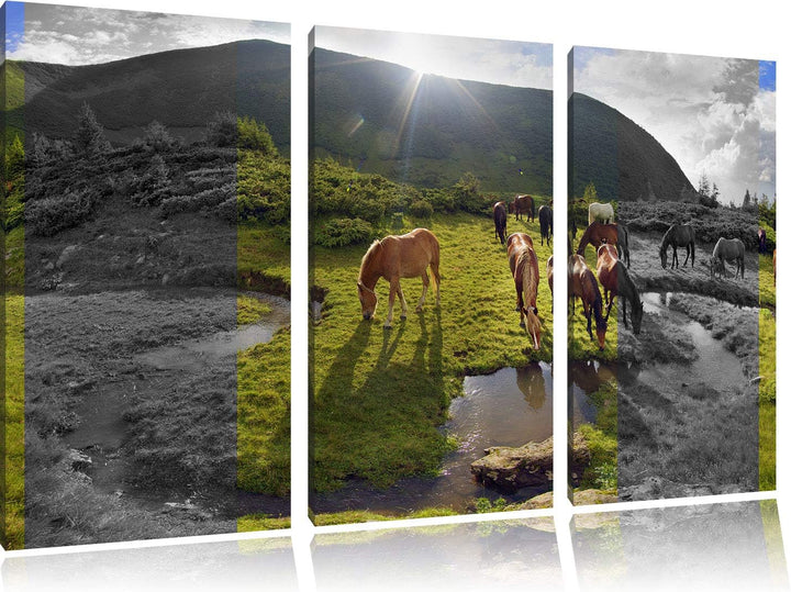 fressende Pferdeherde im Gebirge schwarz/weiss 3-Teiler Leinwandbild 120x80 Bild auf Leinwand, XXL r