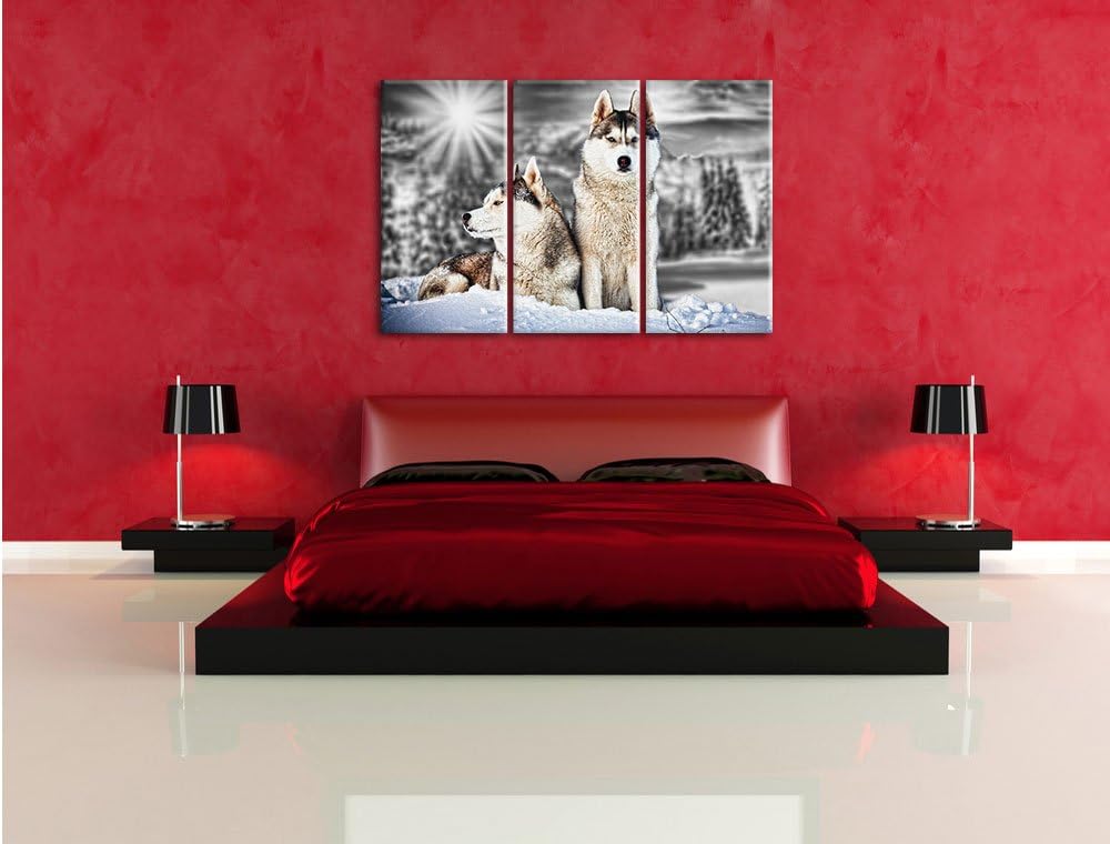 Pixxprint Zwei Wilde Huskies als Leinwandbild/Grösse: 3 Teilig (120x80 cm) cm/Wandbild/Kunstdruck/fe