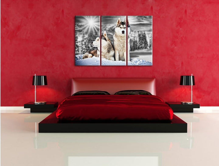 Pixxprint Zwei Wilde Huskies als Leinwandbild/Grösse: 3 Teilig (120x80 cm) cm/Wandbild/Kunstdruck/fe