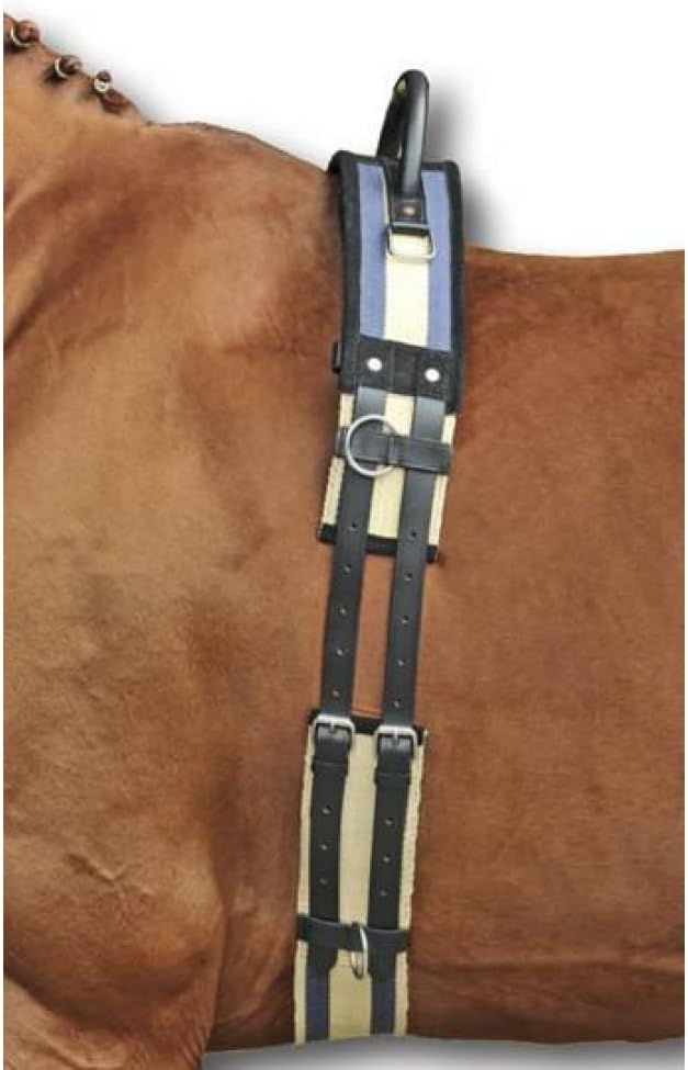 HKM 542120 Longiergurt mit Haltegriff, Pony, dunkelblau/beige Pony dunkelblau / beige, Pony dunkelbl