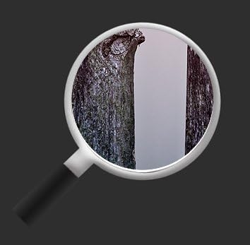 islandburner Bild Bilder auf Leinwand Birds Vögel Spatz auf Holzsteg 3p XXL Poster Leinwandbild Wand